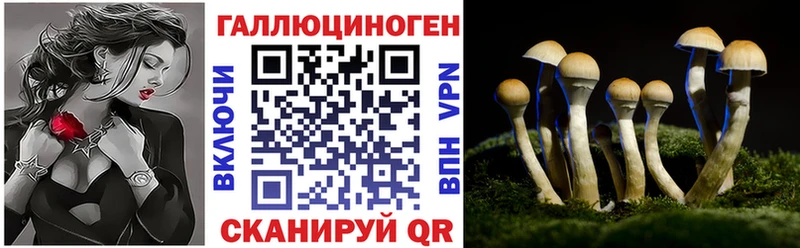 Псилоцибиновые грибы Psilocybe  Электросталь 